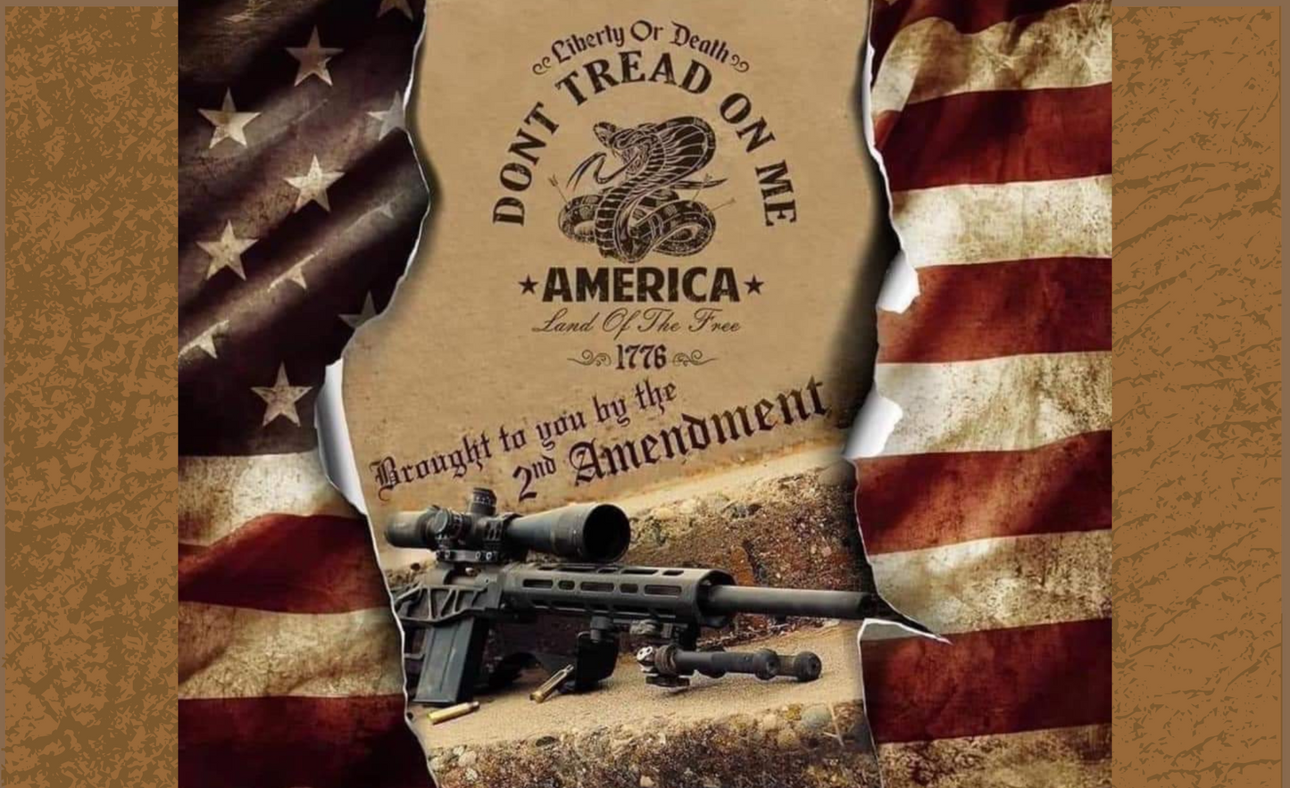 #191 Don't Tread On Me America Can Cooler