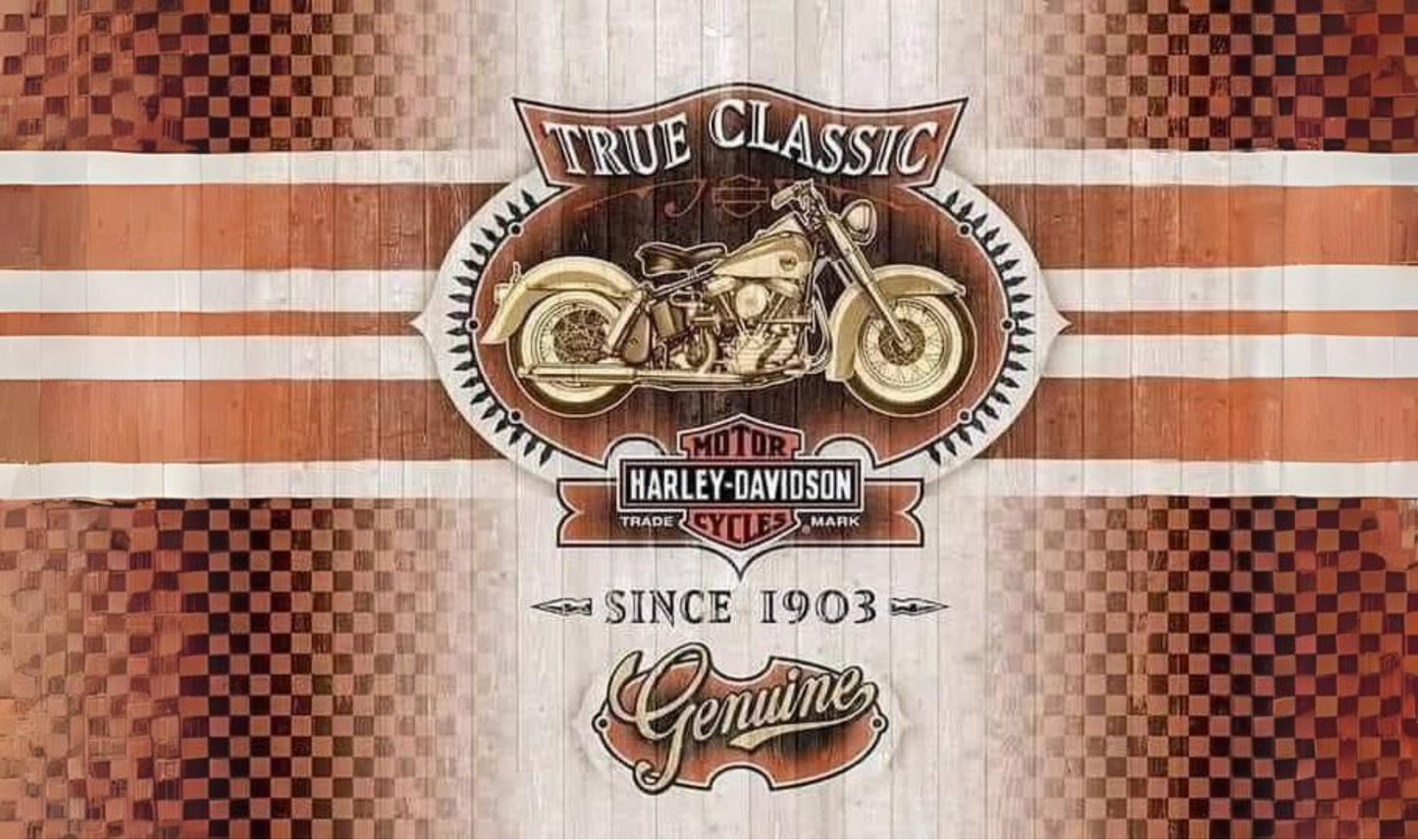 #233 Harley Since 1903 Can Cooler