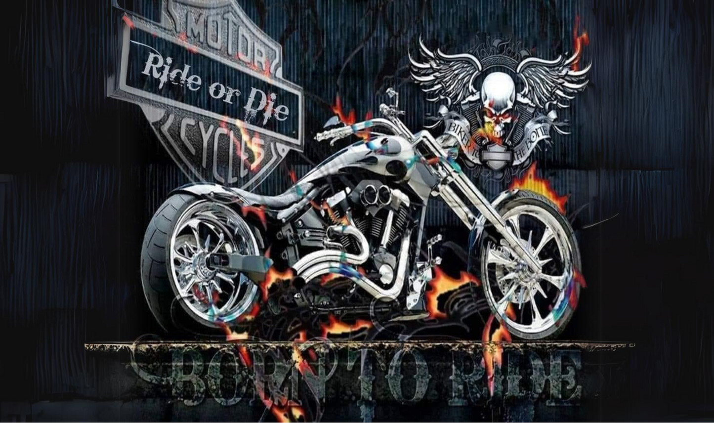 #234 Born to Ride Motorcycle Can Cooler
