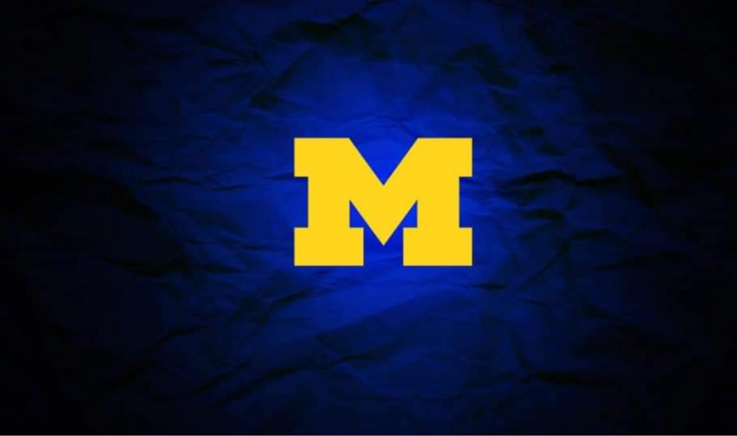 #236 Michigan Can Cooler