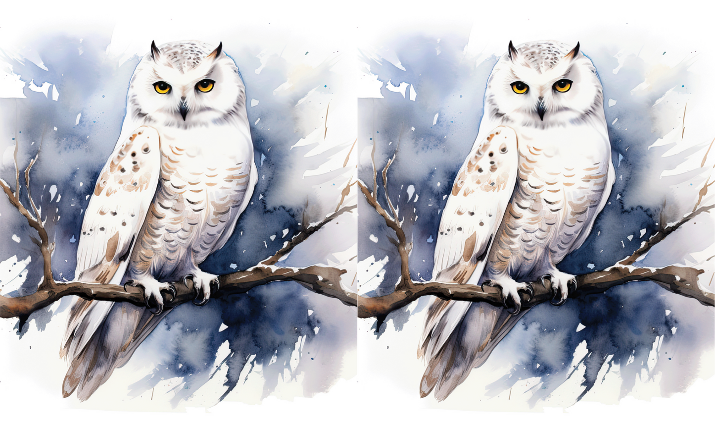 #242 Winter Owl Can Cooler