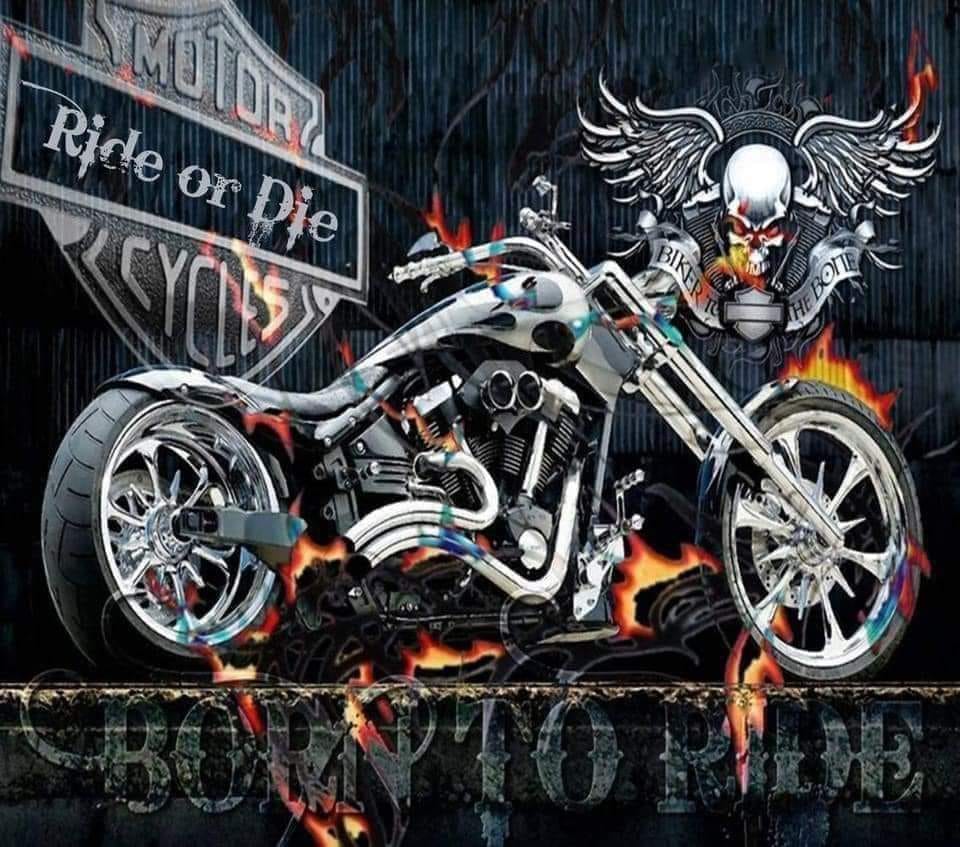 #296 Biker with Eagle Tumbler