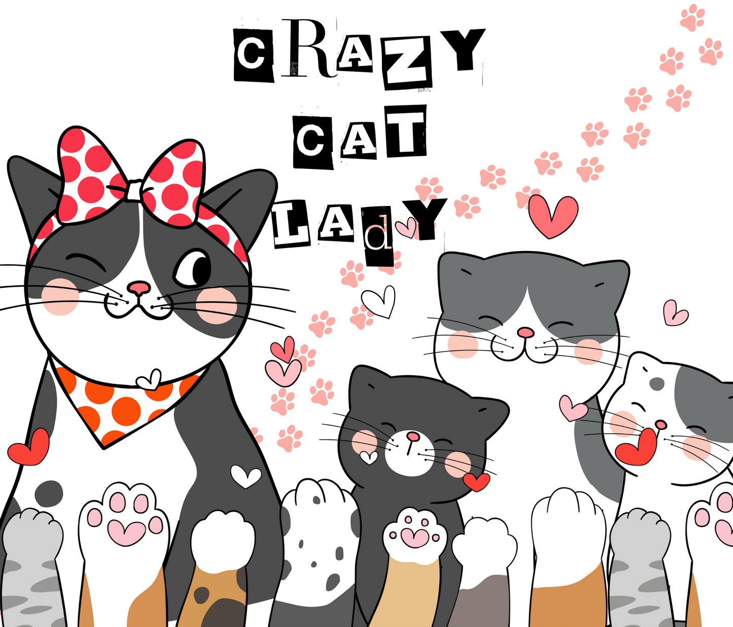 #419 Crazy Cat Lady Tumbler